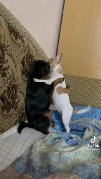 Вот ведь сучка!