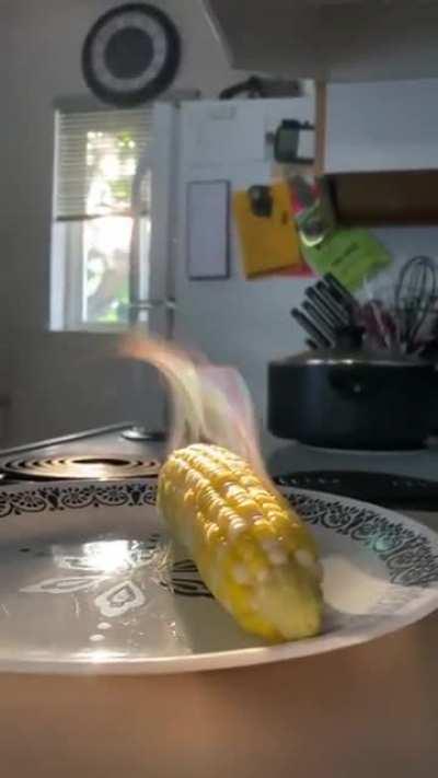 Stop and admire the magical corn.