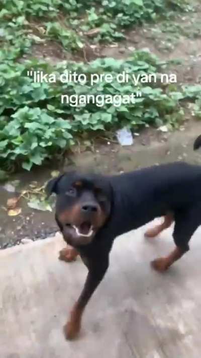 kaibigan.jpeg