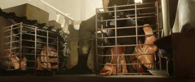 Sheva Alomar and Panther (ZMSFM) [Resident Evil]