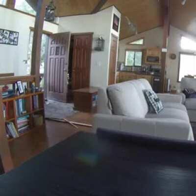 Oh, okay. Good thing nobody was home.