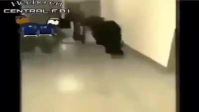 Mįćhəăĺ jāčķś&oslash;&ntilde;