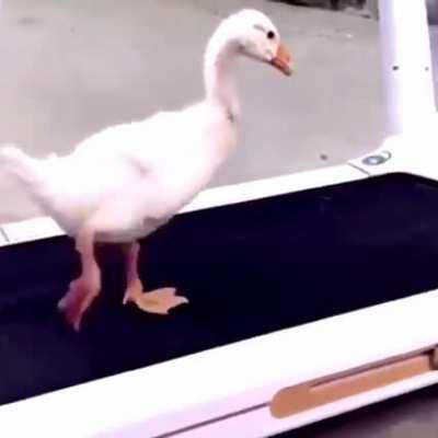 The famous Moon Walk by Michael Duckson.