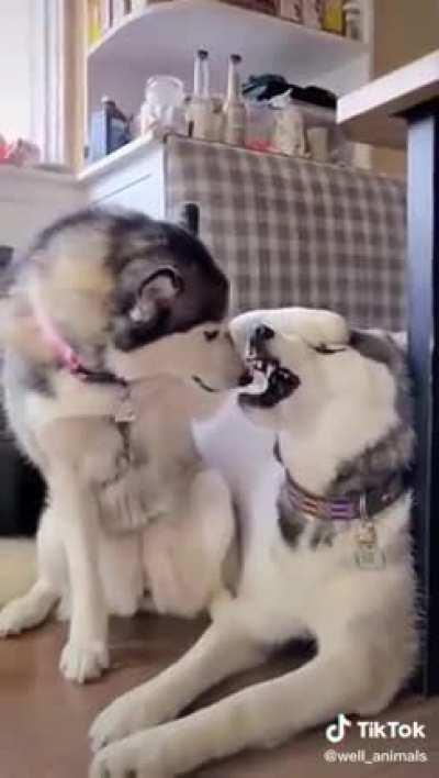 It's not normal 😂