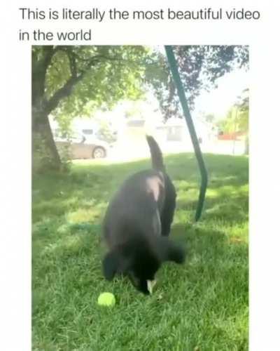 Hey! Butterflies, Can we be Friends?