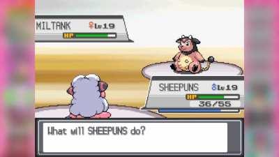 they ALWAYS have a damn berry!