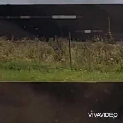 She's like 5 years old and very proud of her middelfinger.