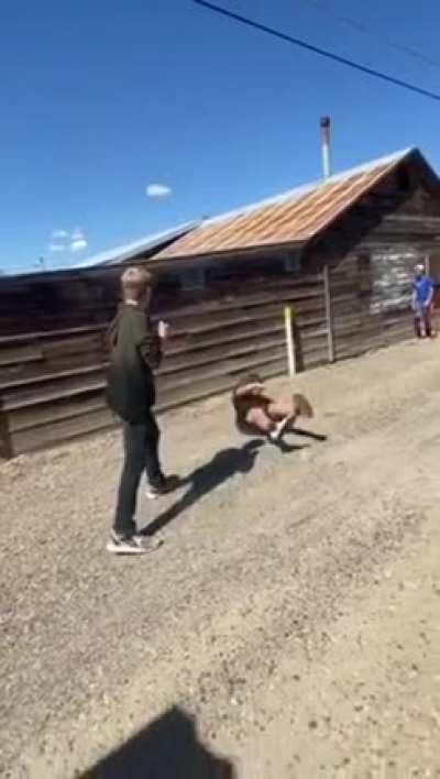 HMFT after I try to fight the quiet kid