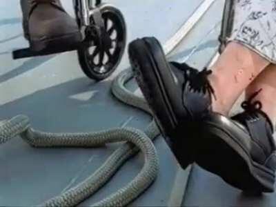 Well Nintendo went off huh