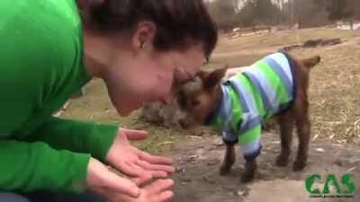 Violet Climbs a Rock as a Newborn, and She Climbs the Same Rock Again One Year Later
