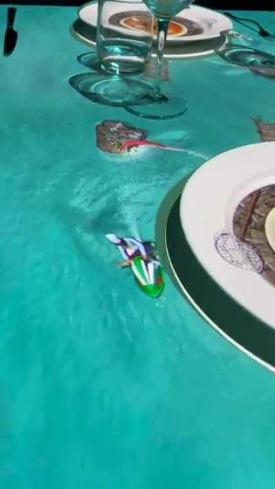 Kid enjoys a show with dinner.