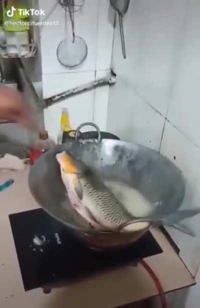 Maybe a little too fresh...