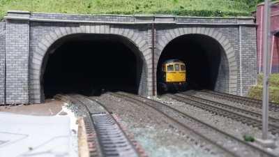 Cat Squeezes through model train tunnel
