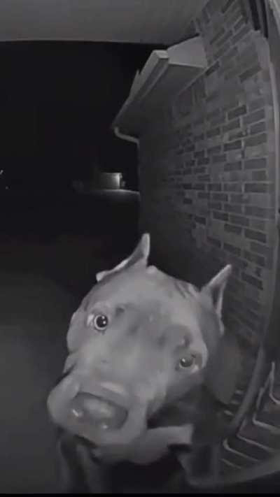 Me begging to be let inside your house (Please let me in ☺️☺️☺️🥺🥺🥺🥺😊🙁🙁🙁😓😑😫)