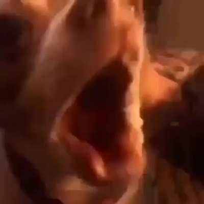 Candia esperando la katana