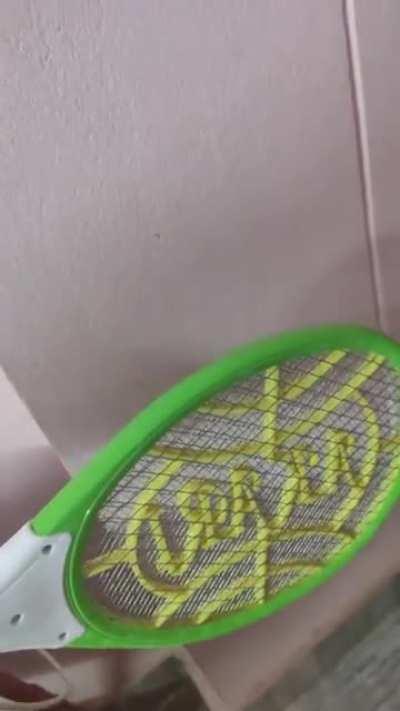 Сатисфакция