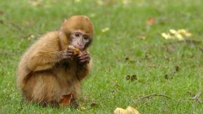 OMG GUYS GOT SECRET 5!!!!