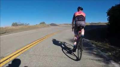 Whats up with bicyclists who won’t move over for faster traffic?