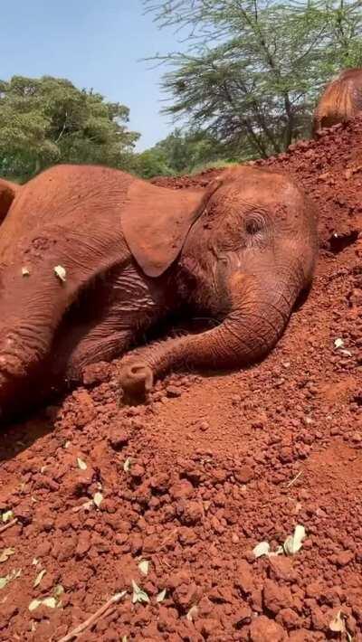 Bondeni is that one cute kid that always knows how to work a camera! @ Sheldrick Wildlife Trust