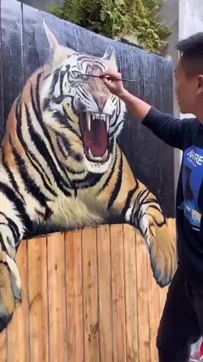 Tiger appears