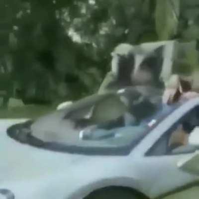 Woods depois.... Eu depois que o woods.... Madeiras... Udis depois do.... Woods..