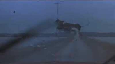 When the wind is blowing! 😳