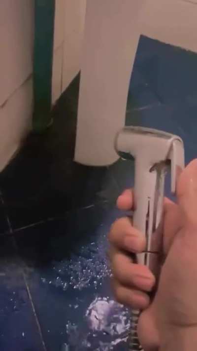 butt sprayer in my country