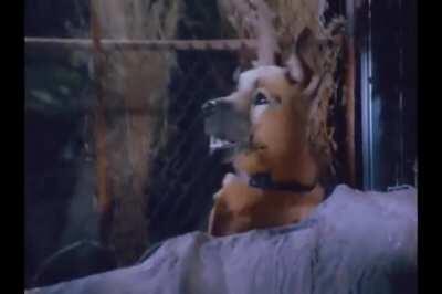 Who's your favorite femme fatale?