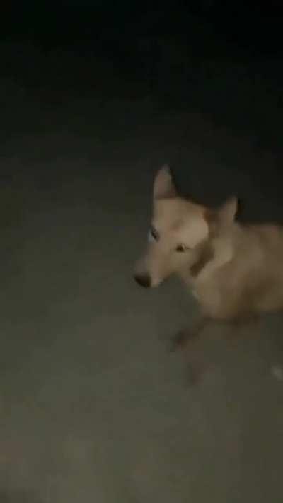 Broo AOT kaise nahi dikha tune Broo, AOT dekh broo bahaut mast hai broo AOT dekhiyo bro, ANime nhi dekhta kya tu vro ?