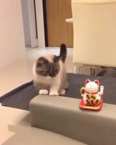 прощаются с вами, до новых встреч