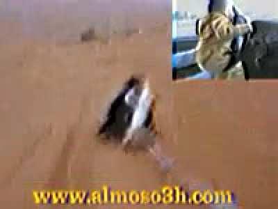 Behold, carvideo.3gp has been found