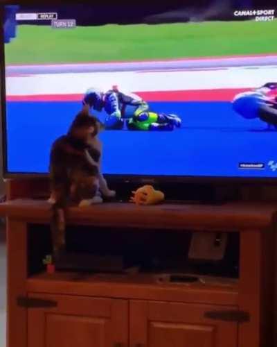 Fuck this bike in particular