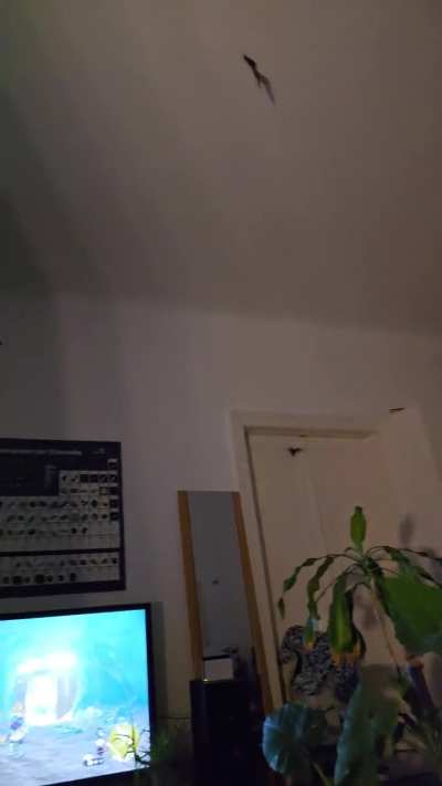 [Totk] Love the realism in this game