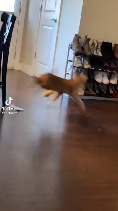 When the worm turns on you.