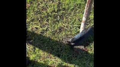 Popping an underground water bubble