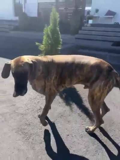 Sparkling in the sun✨