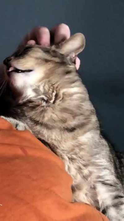 My boyfriend has magic fingers and Thumbs WORSHIPS him.