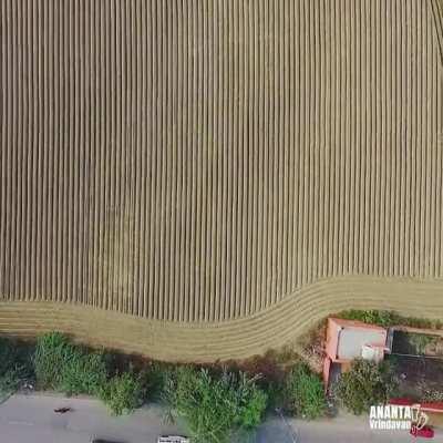 Colours of India #Vrindavan