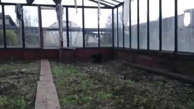 Bro She's Got Hollow Wings