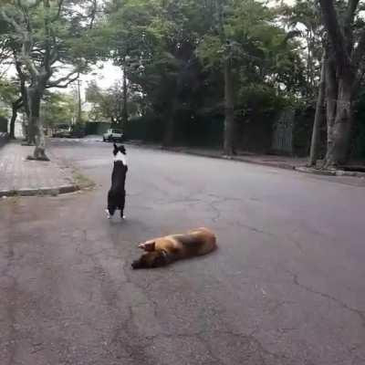 So much discipline🤗