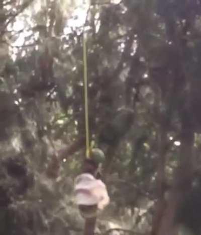 Fantasmas de la fuerza be like: