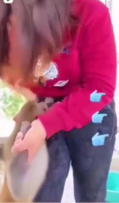 EVOLUTION - Pehle kutte mare ab choomt chahiye