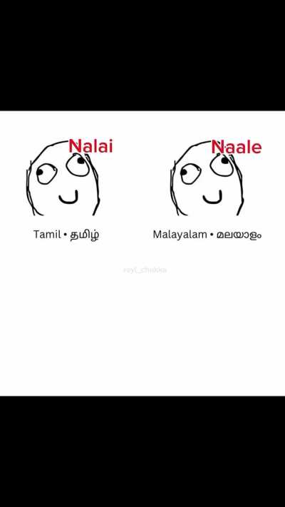 Does Telugu have any cognates for the words mentioned in the video? 