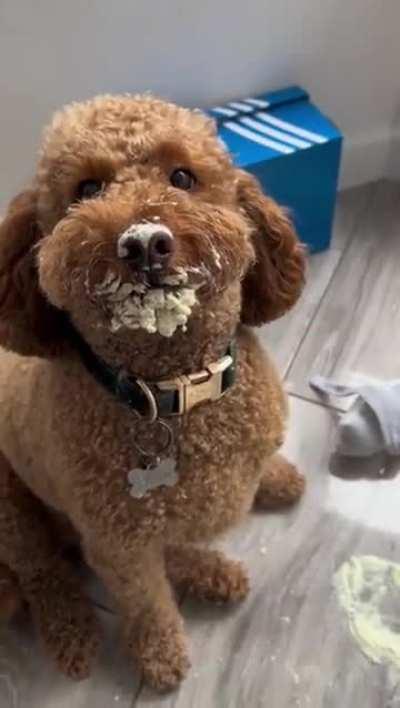 Circumstantial evidence at best