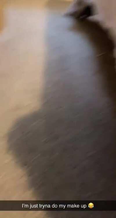 Does anyone else’s rats constantly try to steal stuff? 😂