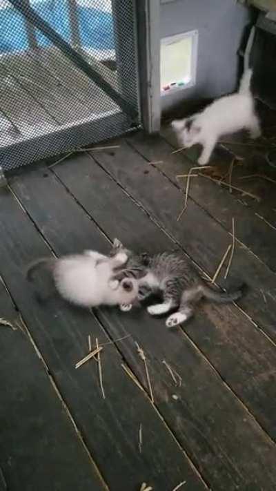 It's alway a good time, just sitting here and watching!