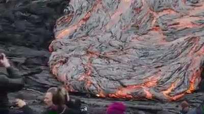 The Darwin challenge