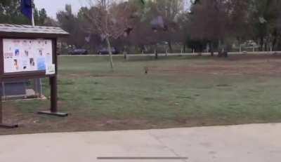 Playing Hunt with your overhyped friend for the first time…