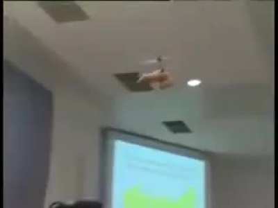 A chess press conference gone wrong