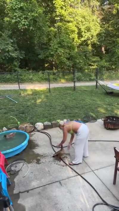 Having a lot of ducking fun